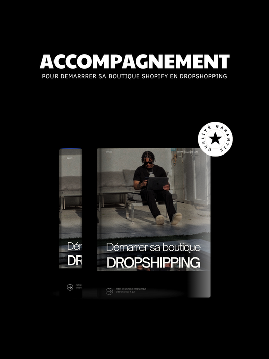 Démarrer sa boutique dropshipping